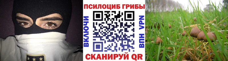 даркнет сайт  блэк спрут маркетплейс  Псилоцибиновые грибы Psilocybe  Сортавала 